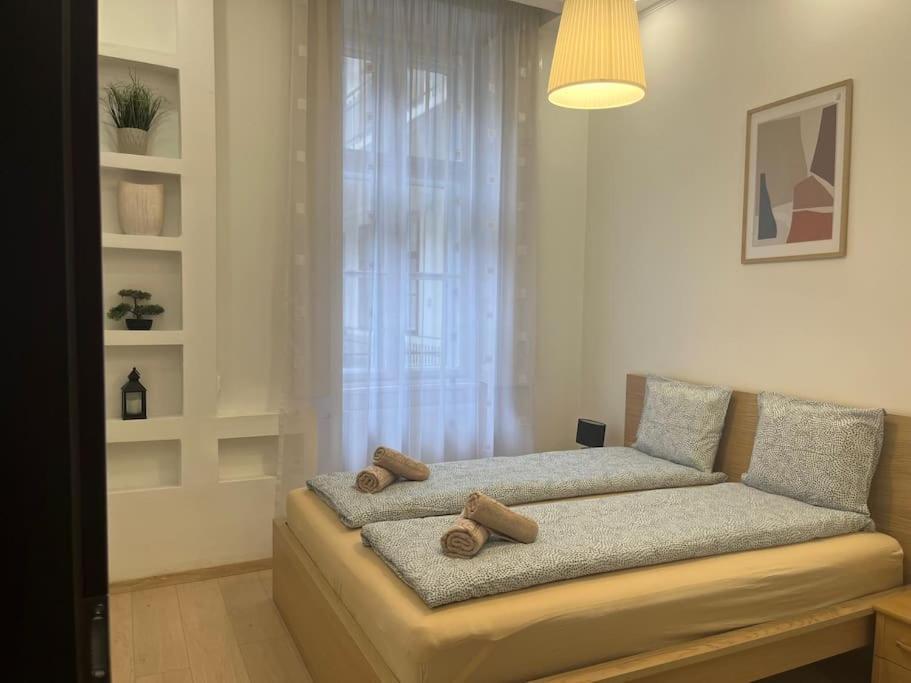Szechenyi Renovated 2Br At Danube River, Budapest